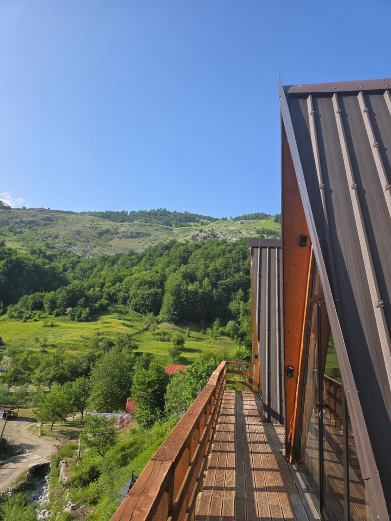 Vilat Suka Mkushit Shkodra