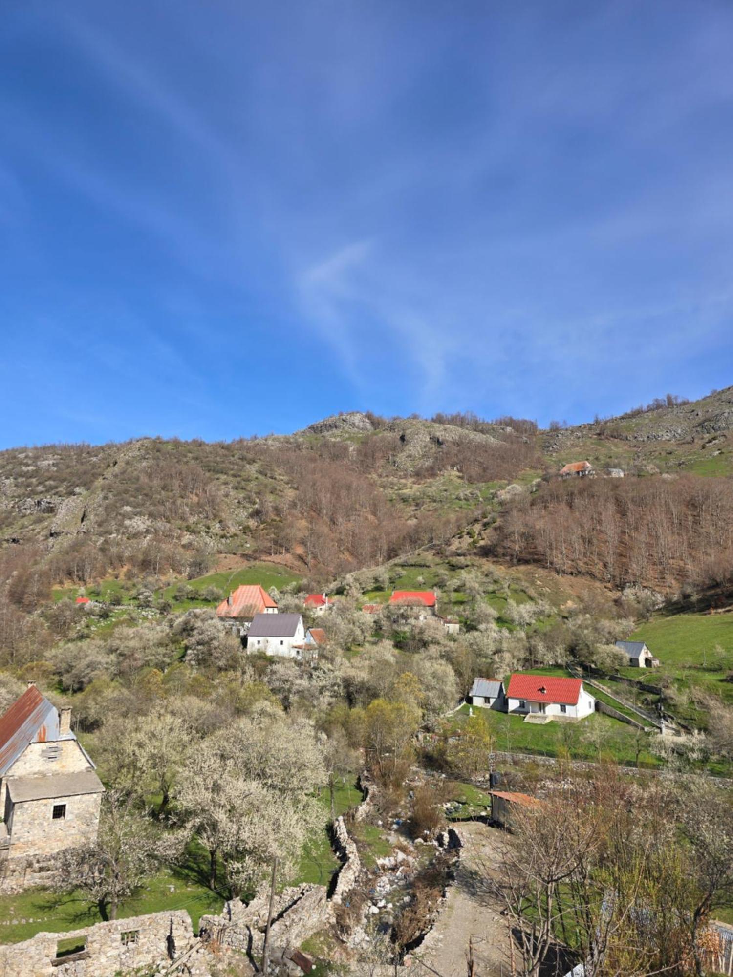 Villa Vilat Suka Mkushit *